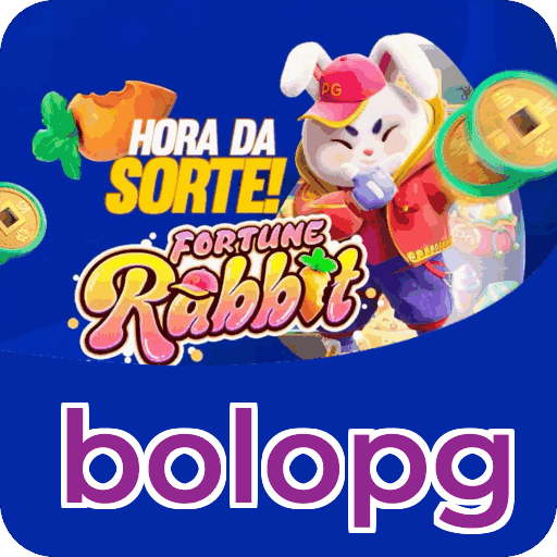 Métodos de pagamento aceitos na bolopg